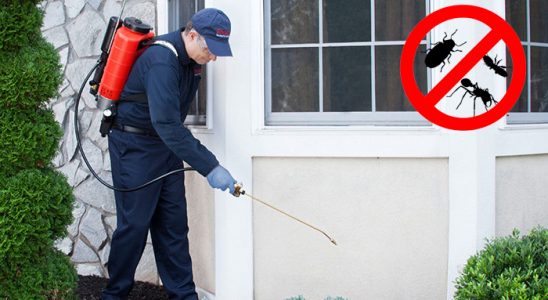 Dikmen Böcek ve Haşere İlaçlama böcek ilaçlama ve haşere kontrolü — ilaclama-tr.com